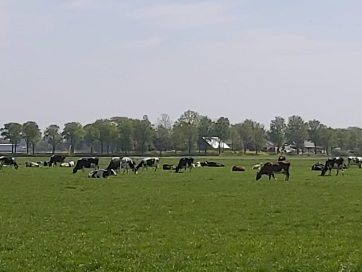 Luxe Gastenverblijf In Het Hart Van Friesland Akkrum Bagian luar foto