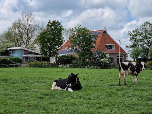 Luxe Gastenverblijf In Het Hart Van Friesland Akkrum Bagian luar foto
